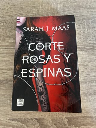 Gran lote 36 libros