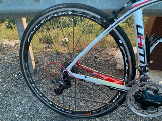Massi Pro Carbono UHM – Shimano Ultegra – Rodes Fu