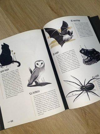 LIBRO LOS SECRETOS DE LAS BRUJAS