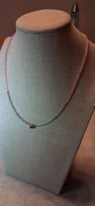 Elegante gargantilla.
