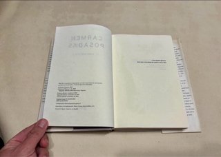 El Buen sirviente. Carmen Posadas.