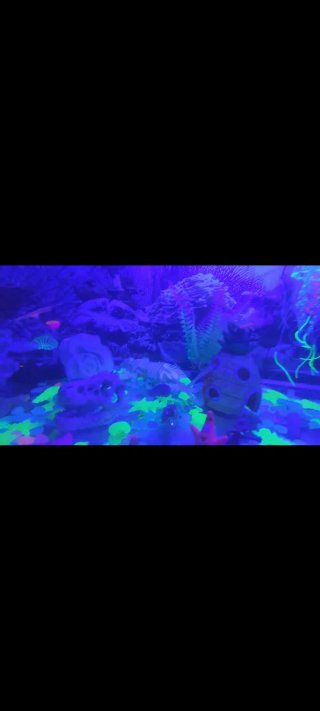 Acuario completo con mueble y filtro enorme 100l