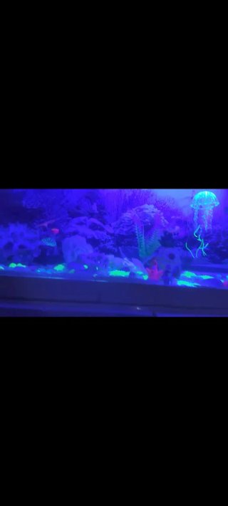 Acuario completo con mueble y filtro enorme 100l