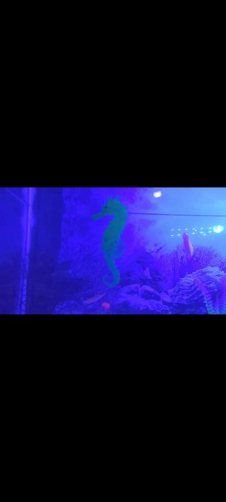 Acuario completo con mueble y filtro enorme 100l