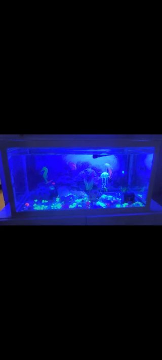 Acuario completo con mueble y filtro enorme 100l