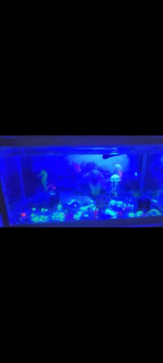 Acuario completo con mueble y filtro enorme 100l
