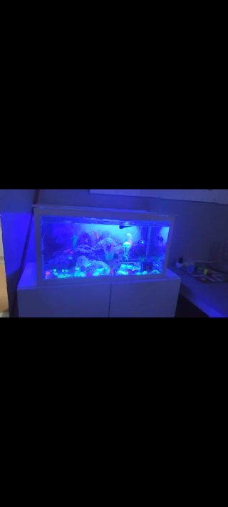 Acuario completo con mueble y filtro enorme 100l