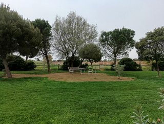desbroce de parcelas, limpieza, nivelado