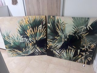 Pareja de cuadros decorativos