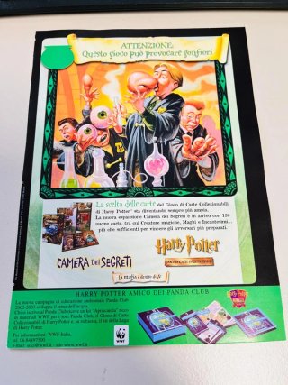 Locandina Harry Potter Camera dei Segreti 13x18 cm