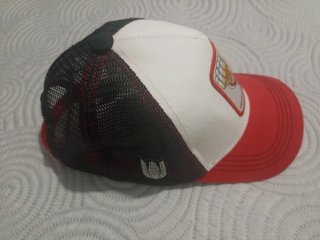 Gorra Capslab Saint Seiya Pegaso