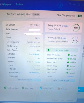 iPad Pro 11 256GB M5 Wifi+Celular