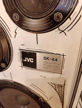 Tocadiscos, Altavoces y Amplificador Custom