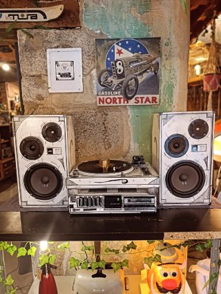 Tocadiscos, Altavoces y Amplificador Custom