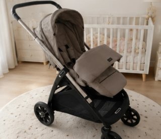 Passeggino Inglesina Aptica Novembre 2023