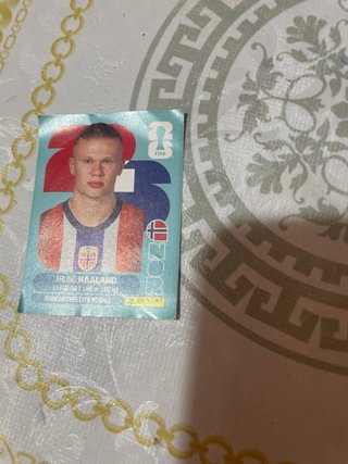 Cromos Haaland Panini