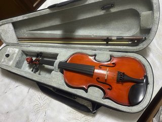 violínes