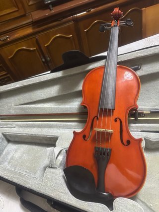 violínes
