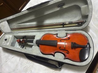 violínes