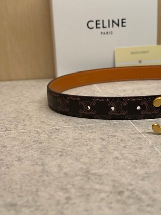 Cinturone Celine S-NE-4179 Marrone e Oro 90cm