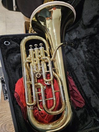 Bombardino