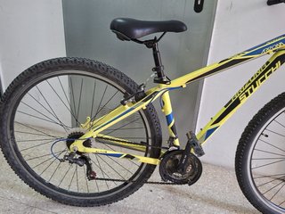 Bicicleta Arizona Stucchi 29 Amarilla