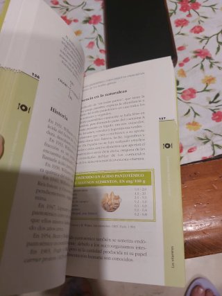 Las vitaminas. Su importancia en la alimentación
