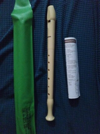 Flauta Hohner con funda