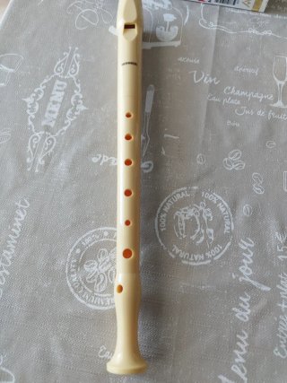 Flauta Hohner con funda