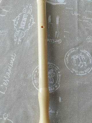 Flauta Hohner con funda