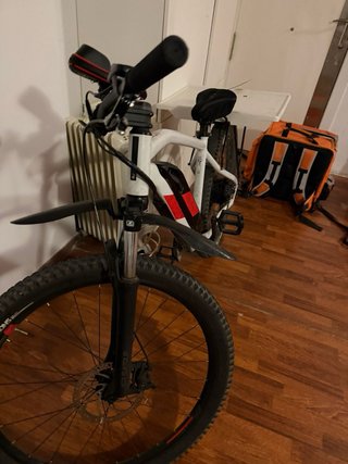 Bicicleta eléctrica MTB con portaequipajes