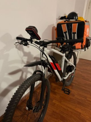 Bicicleta eléctrica MTB con portaequipajes