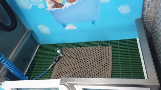Maquina Lavamascotas Autoservicio