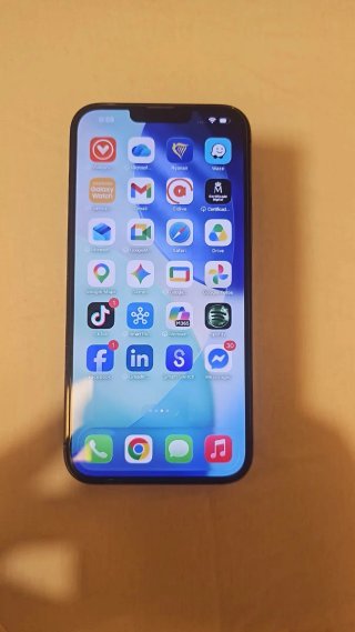 Iphone 13 por max