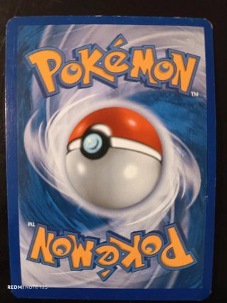 Lote Cartas Pokémon