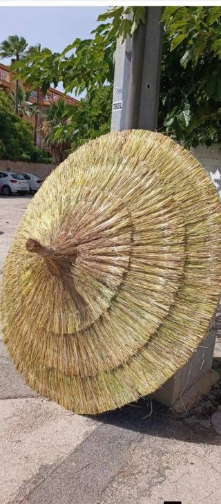 Sombrillas de paja para piscina