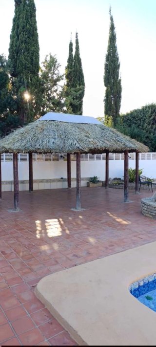 Sombrillas de paja para piscina