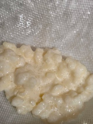 Tarro para kéfir