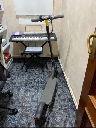 Patinete Eléctrico Xiaomi