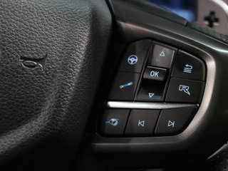 Ford Ranger Pickup 3.0 Ecoboost Doble Cabina Raptor AT e-AWD 215 kW (292 CV)