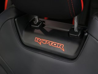 Ford Ranger Pickup 3.0 Ecoboost Doble Cabina Raptor AT e-AWD 215 kW (292 CV)