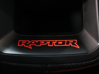 Ford Ranger Pickup 3.0 Ecoboost Doble Cabina Raptor AT e-AWD 215 kW (292 CV)