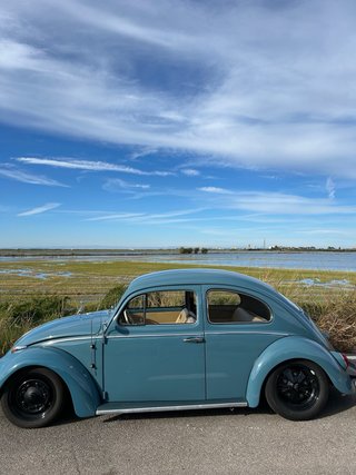 Volkswagen Beetle 2026 escarabajo vw