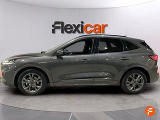Ford Kuga ST-Line 2.0 EcoBlue 88kW (120CV) Auto