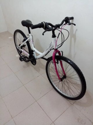 Bicicleta Niña 24 pulgadas Paseo Blanca/Rosa