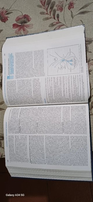 Principios de medicina interna VOL.II