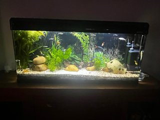 Acuario completo BOYU