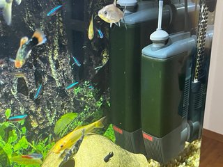 Acuario completo BOYU
