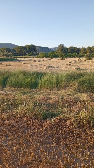 Alpacadora Agrícola