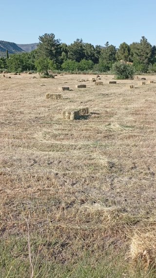 Alpacadora Agrícola